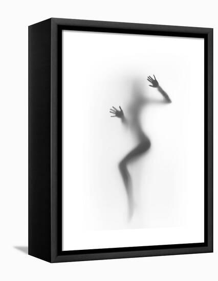 Flattened-Shadow-Framed Stretched Canvas