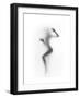 Flattened-Shadow-Framed Premium Giclee Print