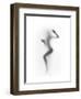 Flattened-Shadow-Framed Art Print