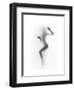 Flattened-Shadow-Framed Art Print