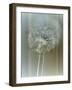 Flaura II-W^ Blake-Framed Giclee Print