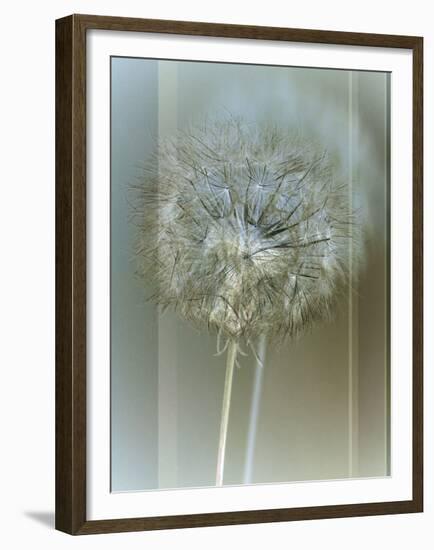 Flaura II-W^ Blake-Framed Giclee Print