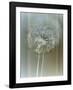 Flaura II-W^ Blake-Framed Giclee Print