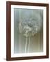 Flaura II-W^ Blake-Framed Giclee Print