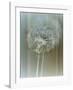 Flaura II-W^ Blake-Framed Giclee Print