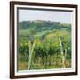 Flauvigny View-Christine Debrosky-Framed Art Print