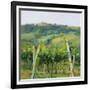 Flauvigny View-Christine Debrosky-Framed Art Print