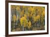 Flavour of the Month-Michael Greene-Framed Giclee Print