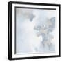 Flawless IX-Rikki Drotar-Framed Giclee Print