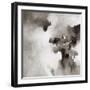 Flawless VI-Rikki Drotar-Framed Giclee Print