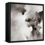 Flawless VI-Rikki Drotar-Framed Stretched Canvas