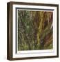 Flax and Fauna-Jan Wagstaff-Framed Limited Edition