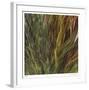 Flax and Fauna-Jan Wagstaff-Framed Limited Edition