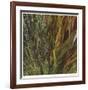 Flax and Fauna-Jan Wagstaff-Framed Limited Edition