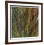 Flax and Fauna-Jan Wagstaff-Framed Limited Edition