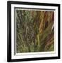 Flax and Fauna-Jan Wagstaff-Framed Limited Edition