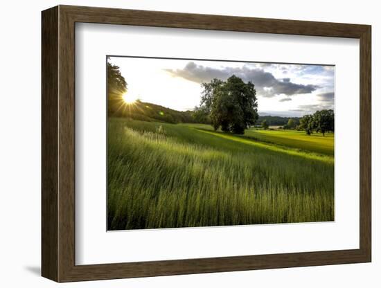 Flax field in Eure, France, Europe-Godong-Framed Photographic Print