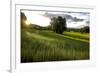 Flax field in Eure, France, Europe-Godong-Framed Photographic Print