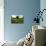 Flax field in Eure, France, Europe-Godong-Photographic Print displayed on a wall