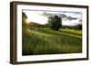 Flax field in Eure, France, Europe-Godong-Framed Photographic Print