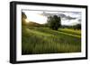 Flax field in Eure, France, Europe-Godong-Framed Photographic Print