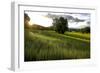 Flax field in Eure, France, Europe-Godong-Framed Photographic Print