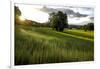 Flax field in Eure, France, Europe-Godong-Framed Photographic Print