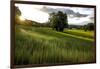 Flax field in Eure, France, Europe-Godong-Framed Photographic Print