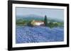 Flax Field, Provence-Hazel Barker-Framed Giclee Print