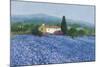 Flax Field, Provence-Hazel Barker-Mounted Giclee Print
