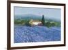 Flax Field, Provence-Hazel Barker-Framed Giclee Print