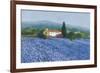 Flax Field, Provence-Hazel Barker-Framed Giclee Print