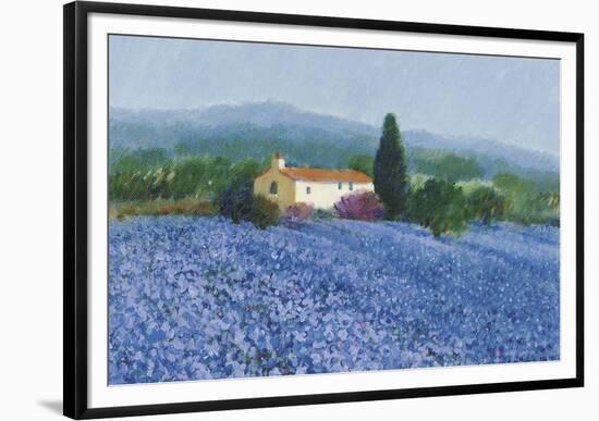 Flax Field, Provence-Hazel Barker-Framed Giclee Print