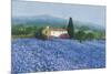 Flax Field, Provence-Hazel Barker-Mounted Giclee Print