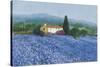 Flax Field, Provence-Hazel Barker-Stretched Canvas