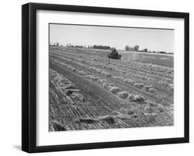 Flax Fields in Imperial Valley, Harvesting-Dmitri Kessel-Framed Photographic Print