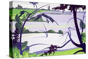 Flax Fields, Rayne, 2003-Derek Crow-Stretched Canvas