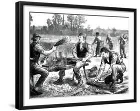 Flax Rippling, C1880-null-Framed Giclee Print