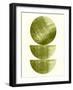 Flaxen Half Moons and Full Moon-Eline Isaksen-Framed Art Print