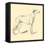 Flaxman The Greyhound-Lucy Dawson-Framed Stretched Canvas