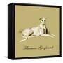 Flaxman The Greyhound-Lucy Dawson-Framed Stretched Canvas