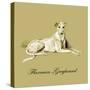 Flaxman The Greyhound-Lucy Dawson-Stretched Canvas