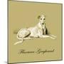 Flaxman The Greyhound-Lucy Dawson-Mounted Art Print