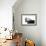 Flaxon Chestnut-Samantha Carter-Framed Art Print displayed on a wall