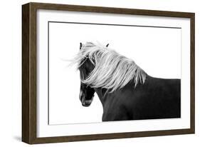 Flaxon Chestnut-Samantha Carter-Framed Art Print