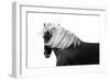 Flaxon Chestnut-Samantha Carter-Framed Premium Giclee Print