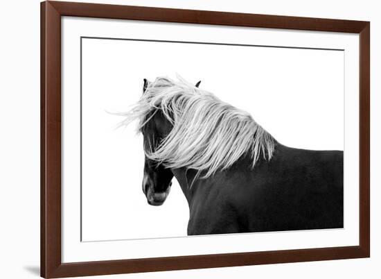 Flaxon Chestnut-Samantha Carter-Framed Art Print