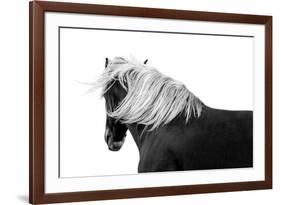 Flaxon Chestnut-Samantha Carter-Framed Art Print