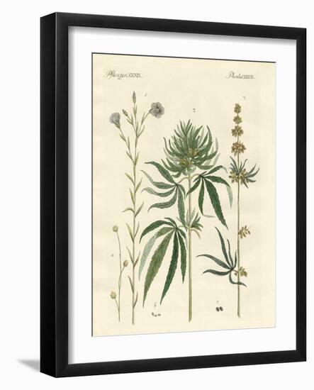 Flaxs and Hemps-null-Framed Giclee Print
