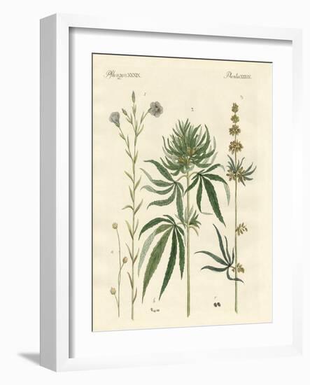 Flaxs and Hemps-null-Framed Giclee Print